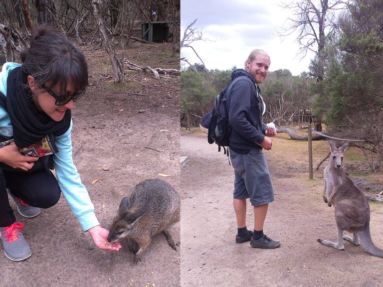 Moonlit Sanctuary Wildlife Conservation Park: Cómo llegar y Que Ver