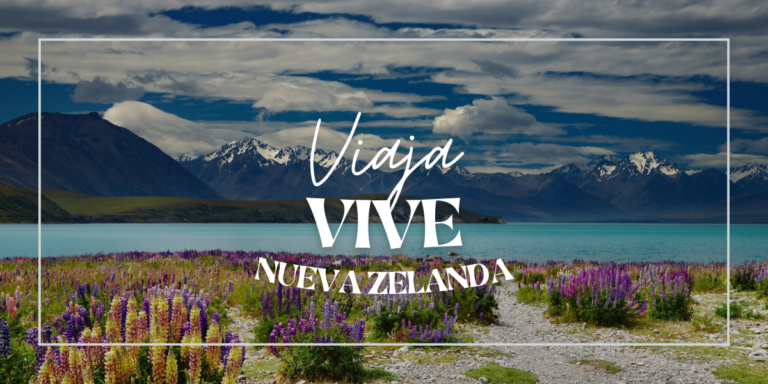 Trabaja, viaja y estudia por un año en Nueva Zelanda con la Visa Working Holiday (2025)