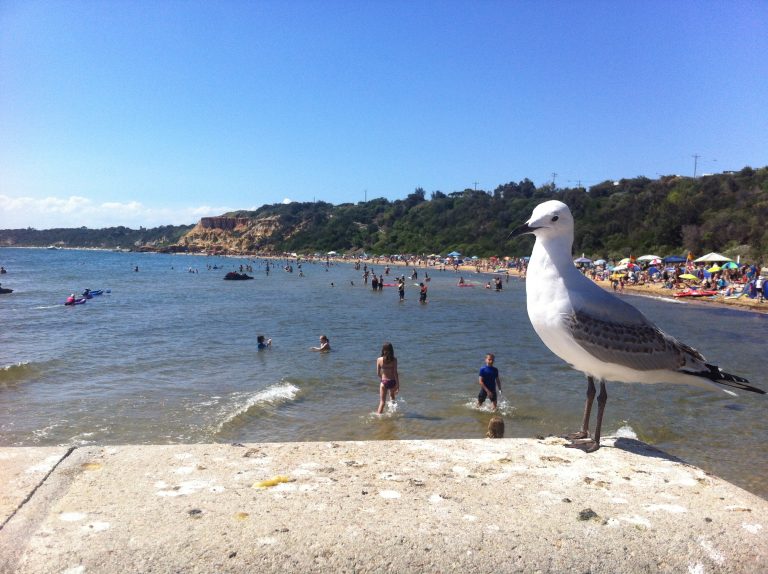 9 Lugares que visitar en Melbourne en transporte público