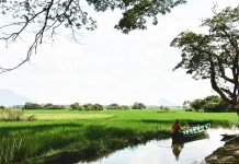 Myanmar