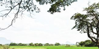 Myanmar