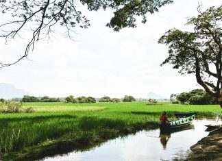 Myanmar