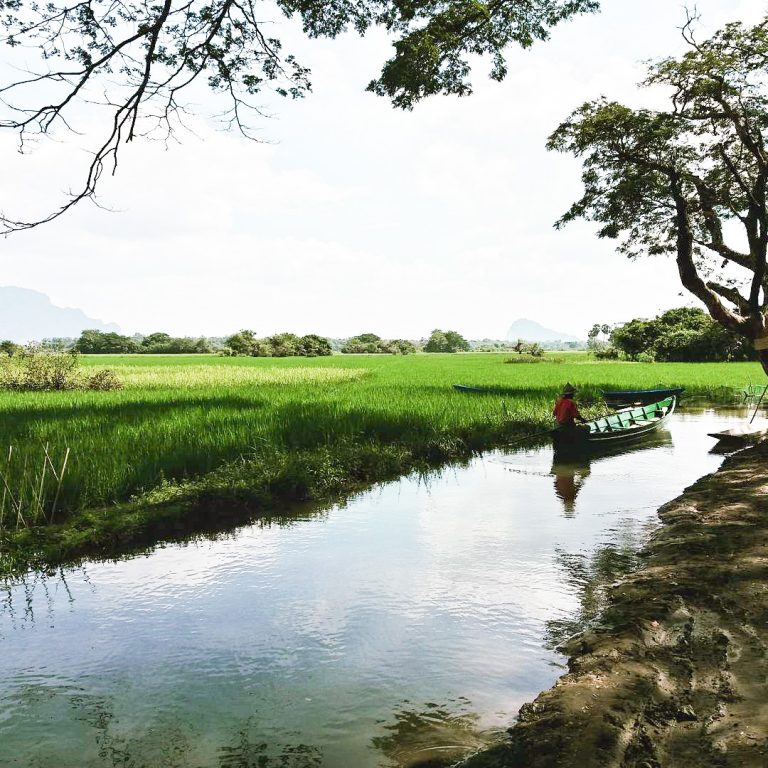 Myanmar: Desencuentro de sentimientos…