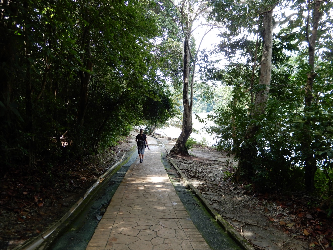 Taman Negara Penang