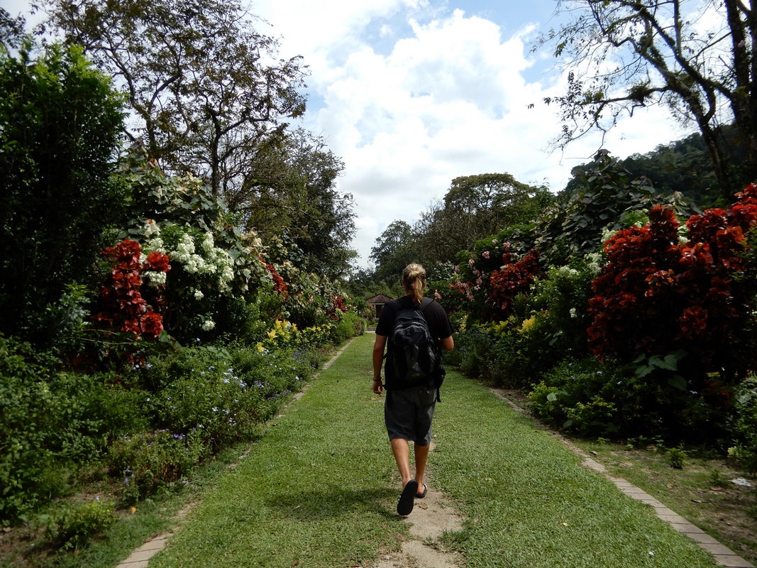 Jardín Botánico de la Isla de Penang