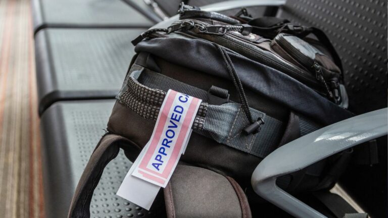 7 bolsos de mano Y MOCHILAS perfectas para no facturar equipaje