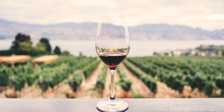 From Douro to Alentejo: 7 Top Portuguese Wine Regions you must visit