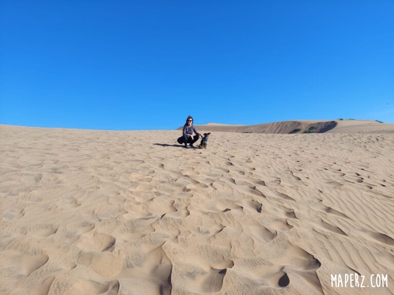 Dunas de Concón: La guía definitiva para visitarlas