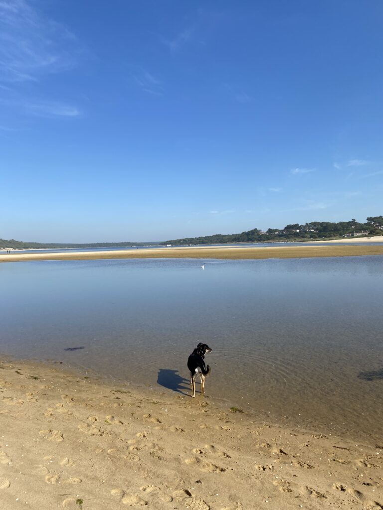 Lagoa de Albufeira